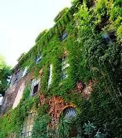 Margutta 54 Luxury Отель типа 